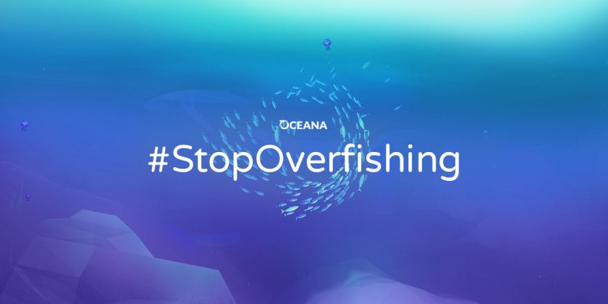 Stopoverfishing2